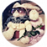 Google-Profilbild-3.png